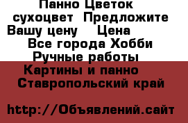 Панно Цветок - сухоцвет. Предложите Вашу цену! › Цена ­ 4 000 - Все города Хобби. Ручные работы » Картины и панно   . Ставропольский край